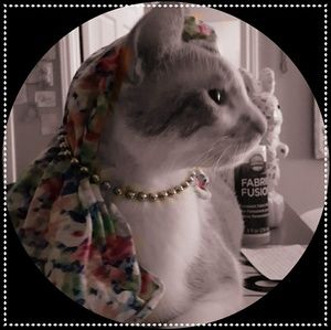 Meet your Posher, Dana